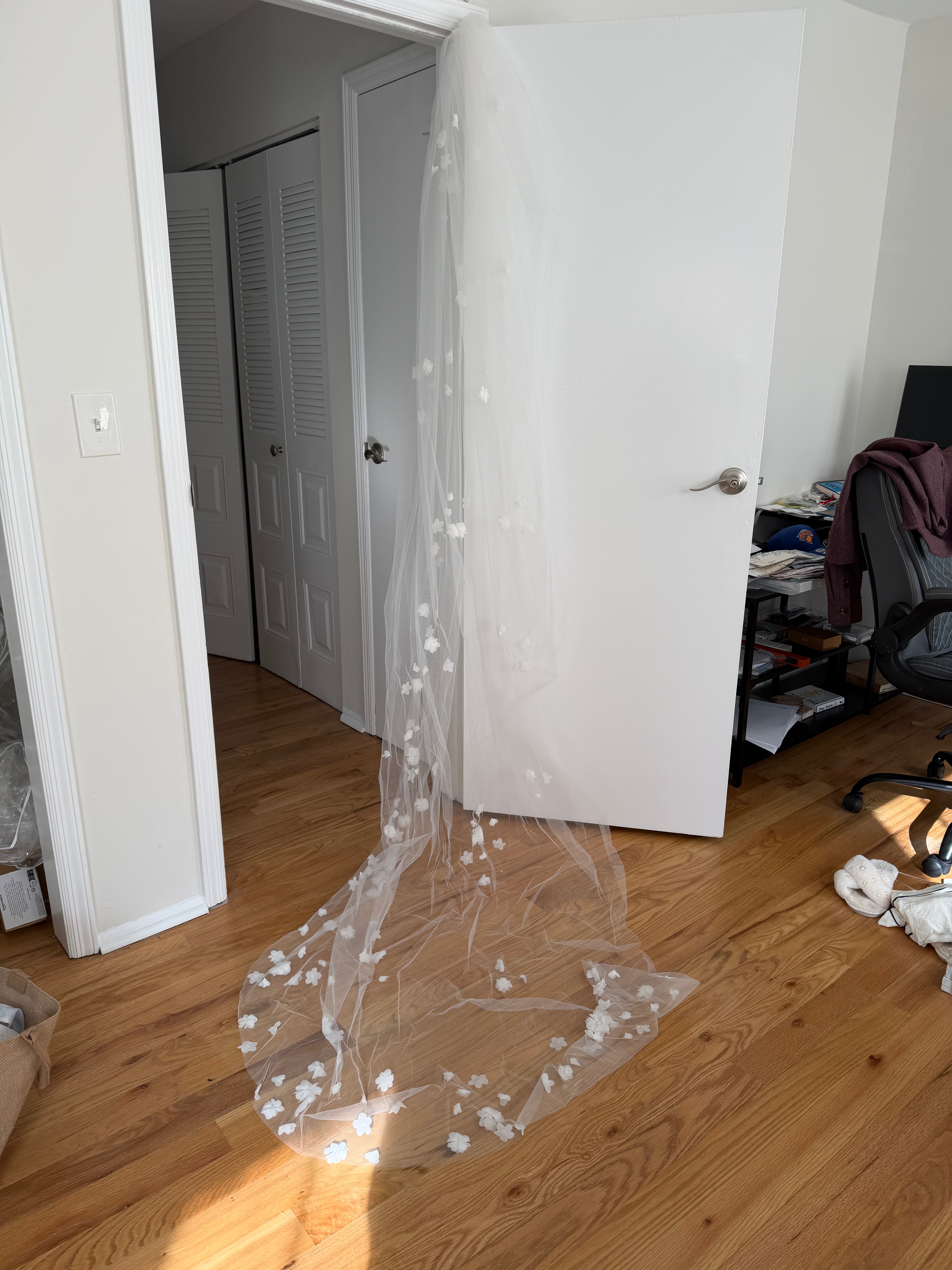 IMG 1353