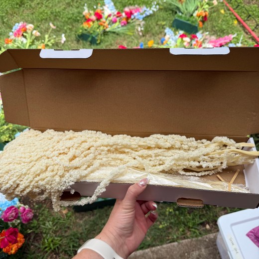 Dried Glixia Bundles