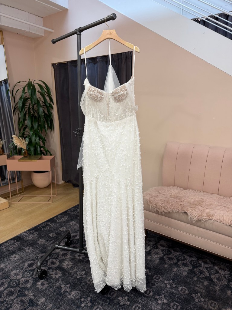 Beaded Lace Gown with Sheer Bustier - Ollie
