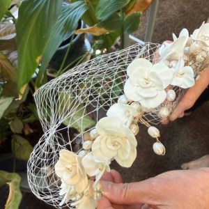 Vintage Birdcage Veil