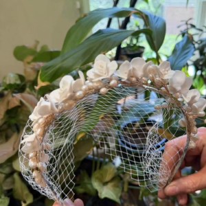 Vintage Birdcage Veil