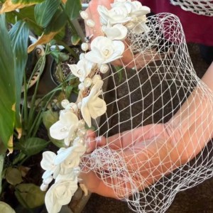 Vintage Birdcage Veil