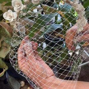 Vintage Birdcage Veil